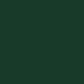 EGGER U606 ST9 Forest Green - أخضر غابي
