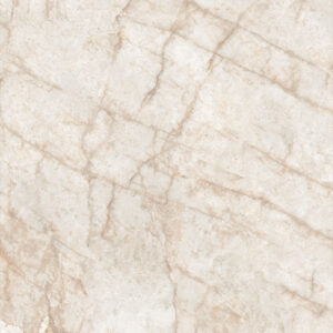 سطح بورسلان Maximus Granito White Ande - حجري