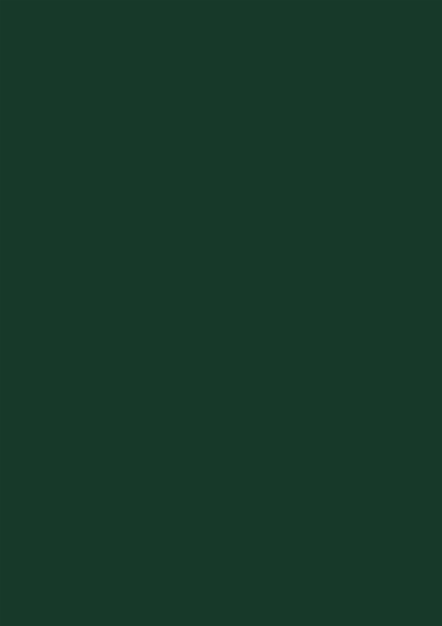 EGGER U606 ST9 Forest Green - أخضر غابي